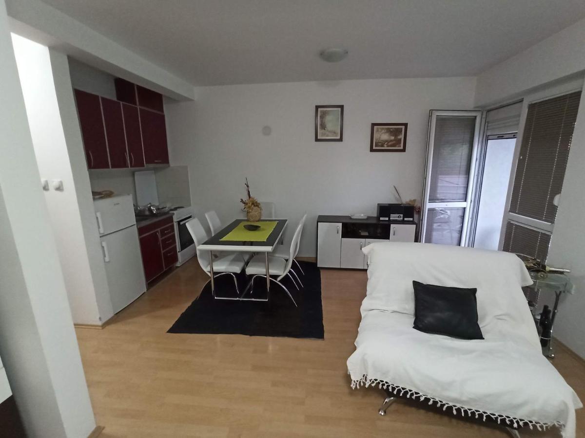 Apartman Savic 소코 반자 외부 사진